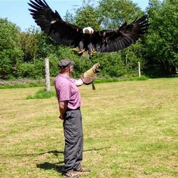 Customer Photo of Bird of Prey Experience (Nationwide Venues)