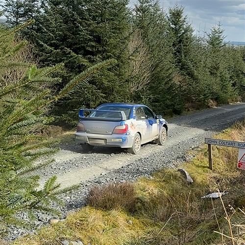 Half-day Forest Rally Driving in Scotland
