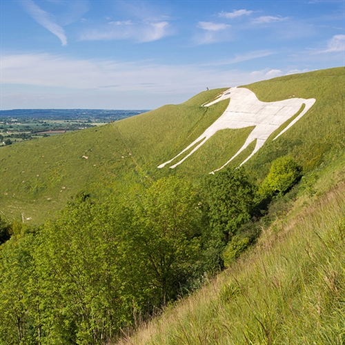 Wiltshire White Horse Helicopter Tours Wiltshire White Horse Helicopter Tours