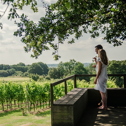 Gusbourne Estate Tour & Tasting with Lunch for Two  Gusbourne Estate Tour & Tasting with Lunch for Two