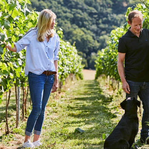 Cider Farm Tour & Tasting for Two Dorset