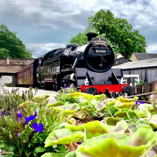 Themed Steam Train Afternoon Teas in Derbyshire