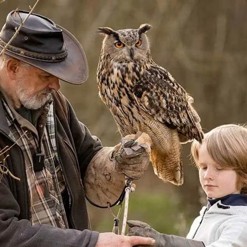 Bird on The Hand Bird on The Hand