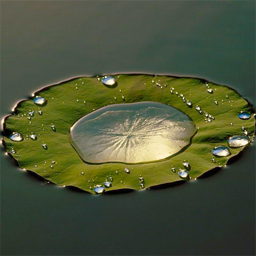 Online Photography Foundation with Michael Freeman - Japan Neon Lights  Online Photography Foundation with Michael Freeman - Japan Neon Lights