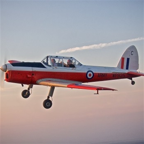 vintage chipmunk vintage chipmunk