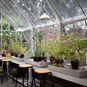 Greenhouse 