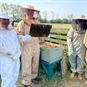 beekeeping group