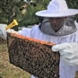 beekeeper with frame