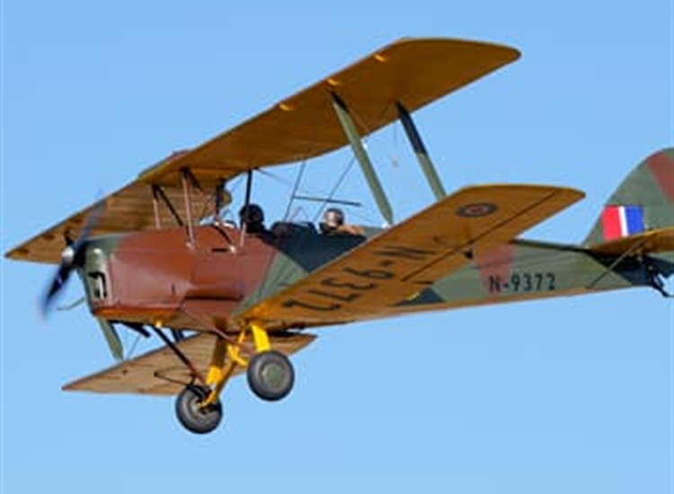 Tiger Moth Flight