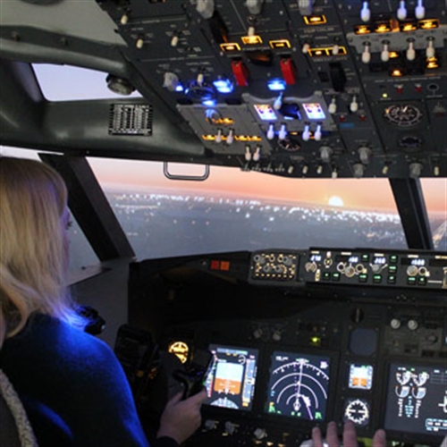 sim student in 737 sim student in 737