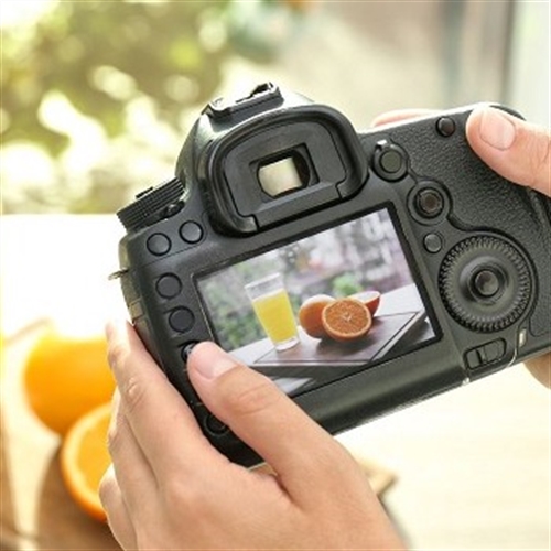 through the lens through the lens