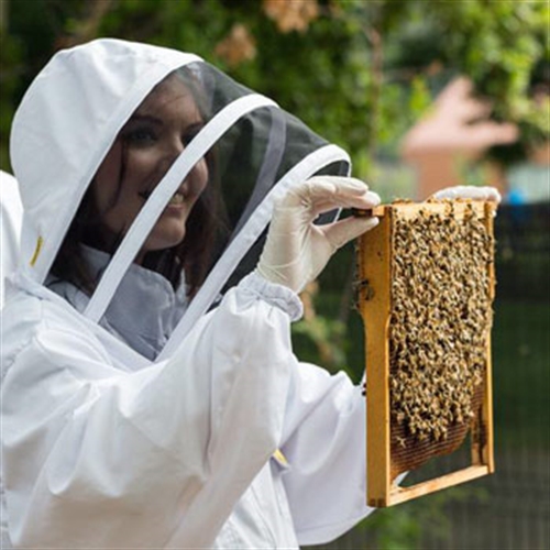 London Urban Beekeeping & Craft Beer Tasting London Urban Beekeeping & Craft Beer Tasting