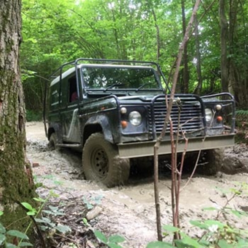 defender in jungle