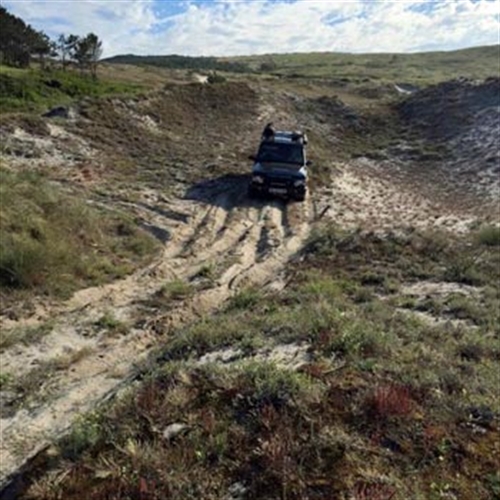 4 x 4 in quarry 4 x 4 in quarry