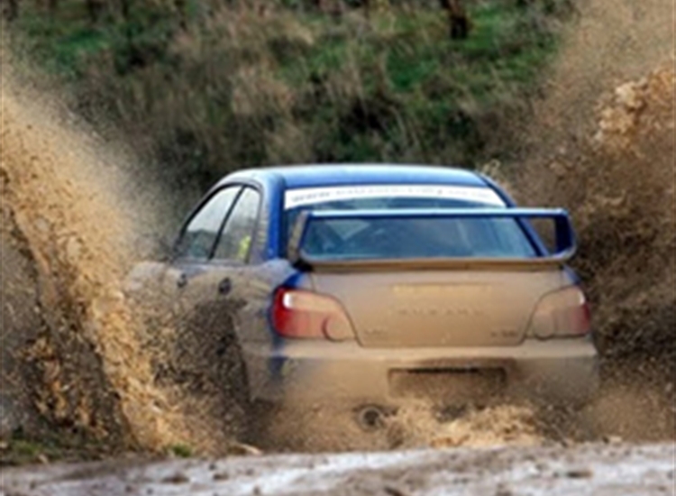 rally-driving rally-driving