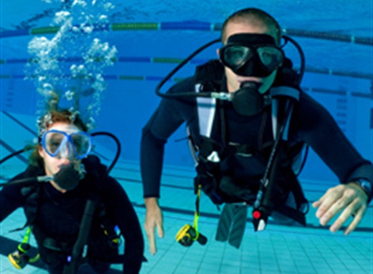 scuba and diving courses scuba and diving courses