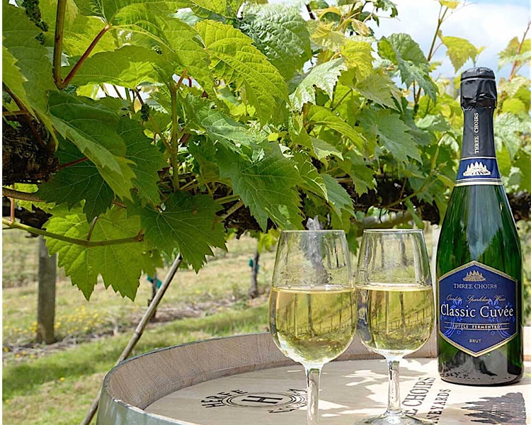 Grape-Expectations-Is-English-wine-any-good Grape-Expectations-Is-English-wine-any-good
