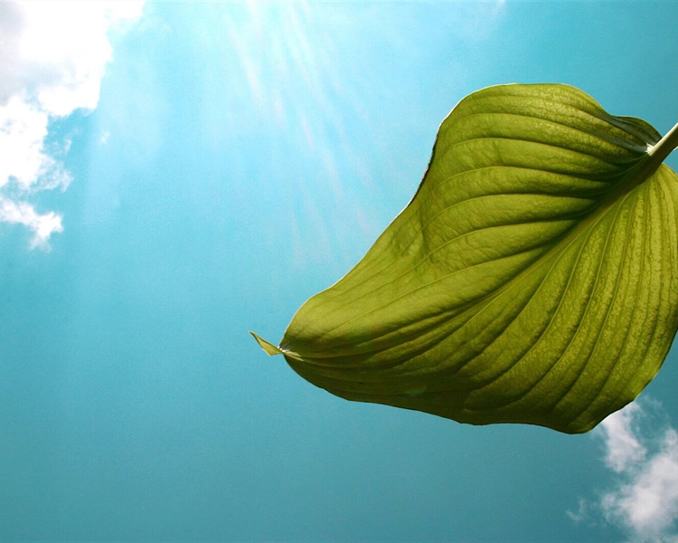 Turn-the-volume-down*-its-National-Quiet-Day-2017 Turn-the-volume-down*-its-National-Quiet-Day-2017