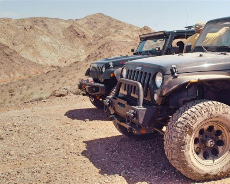 Beware-of-Bumps---The-Ultimate-Off-Roading-Guide Beware-of-Bumps---The-Ultimate-Off-Roading-Guide