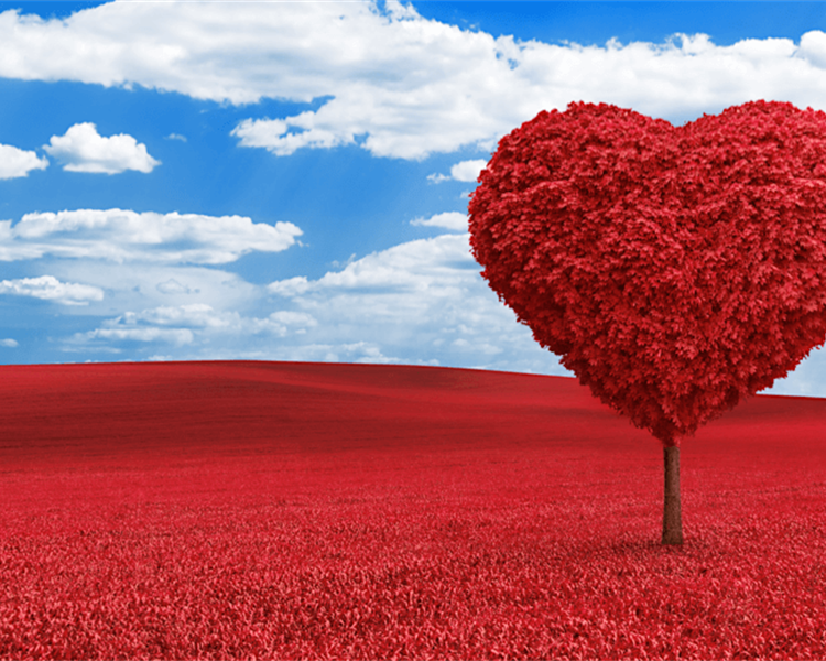 Valentine*s-Day-Gifts-2023---Best-Offers Valentine*s-Day-Gifts-2023---Best-Offers
