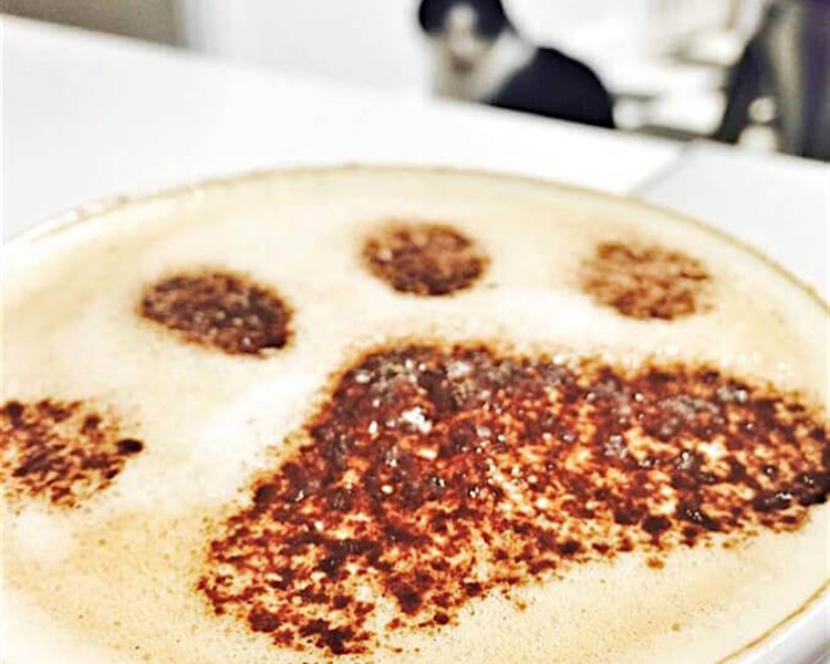 Coffee*-cakes*and-cats-The-rise-animal-cafes-in-the-UK Coffee*-cakes*and-cats-The-rise-animal-cafes-in-the-UK