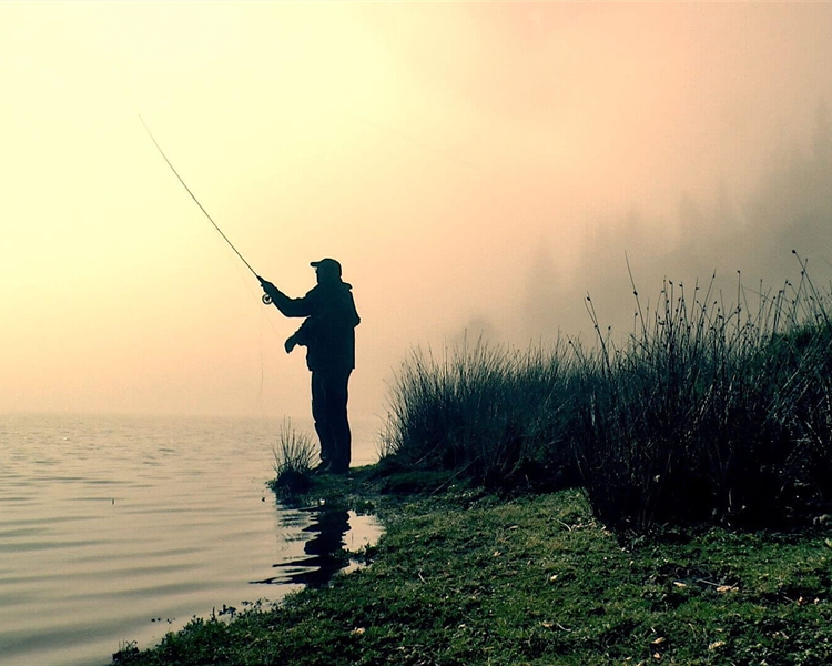 Catch-of-the-Day---Do-You-Need-A-Licence-To-Fish-in-the-UK Catch-of-the-Day---Do-You-Need-A-Licence-To-Fish-in-the-UK