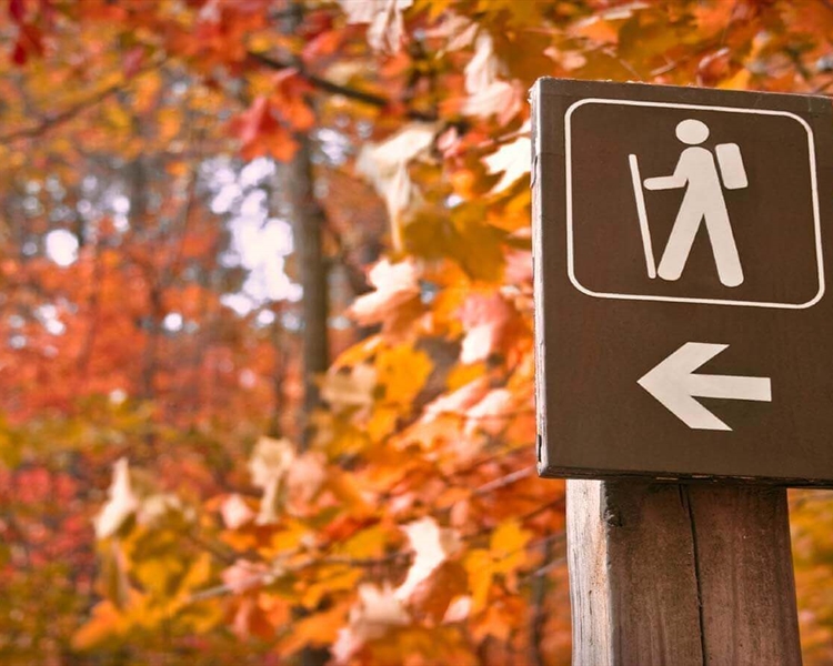 Hitting-The-Trail---The-UK*s-Best-Hiking-Spots Hitting-The-Trail---The-UK*s-Best-Hiking-Spots