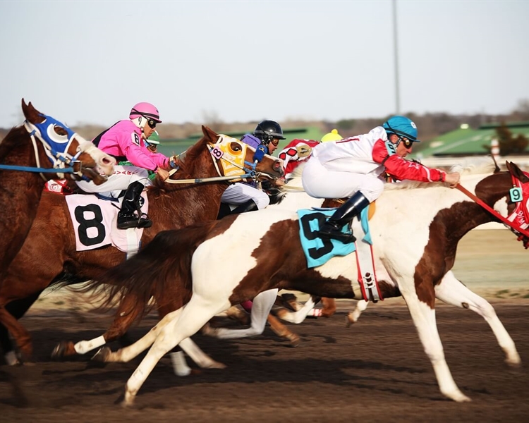 How-Do-You-Become-a-Jockey-in-the-UK How-Do-You-Become-a-Jockey-in-the-UK